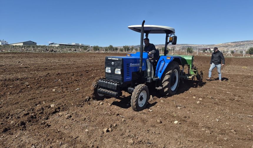 Gaziantep’te Nohut Ekim Sezonu Başladı