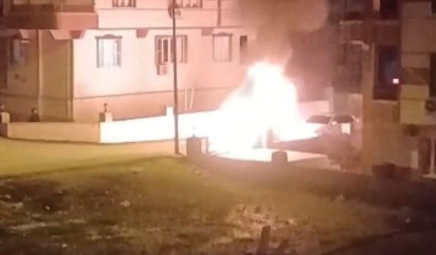 Park halindeki lüks araç alev aldı