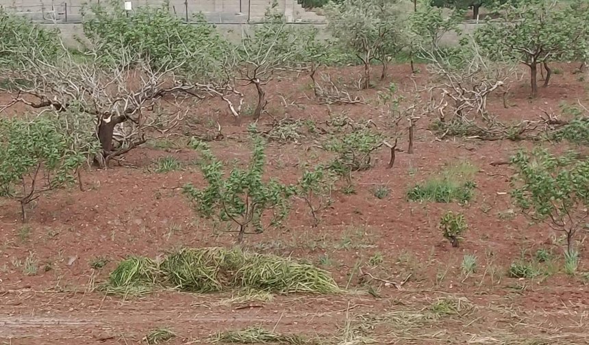 “Gaziantep acilen afet bölgesi ilan edilmeli”