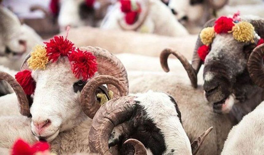 En güzel, anlamlı Kurban Bayramı mesajları