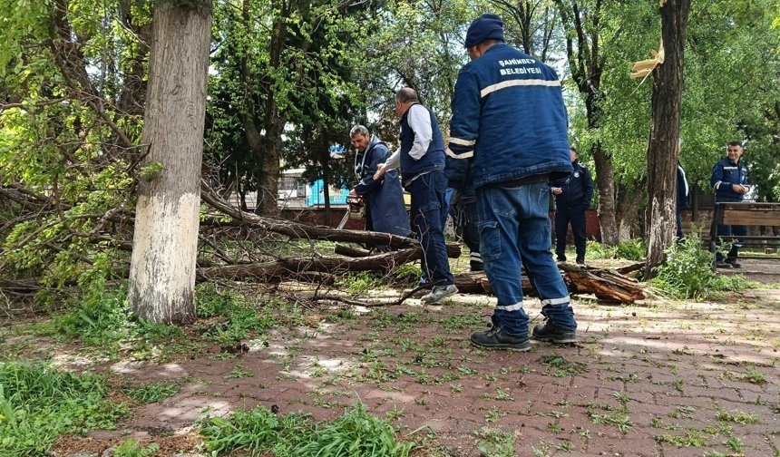 Fırtına sonrası 250 noktada çalışma başlatıldı