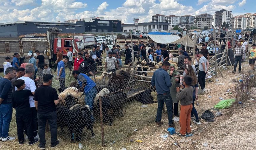 Gaziantep’te kurban pazarlarında arefe yoğunluğu