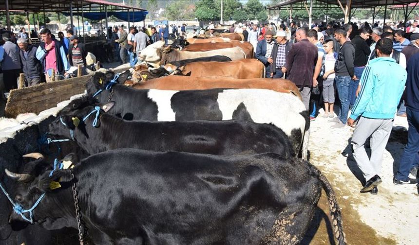Gaziantep’te Kurban Alanlarında Sıkı Önlem