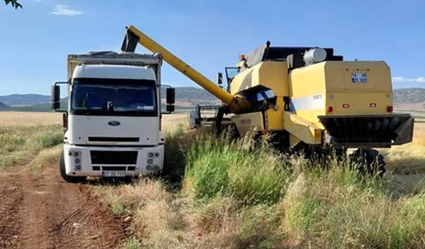 Gaziantep’te ilk arpa hasadı gerçekleşti