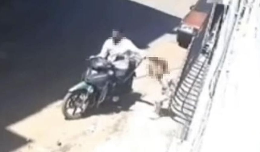 Gaziantep'te tepki çeken görüntü: Baba kızını sokak ortasında darbetti