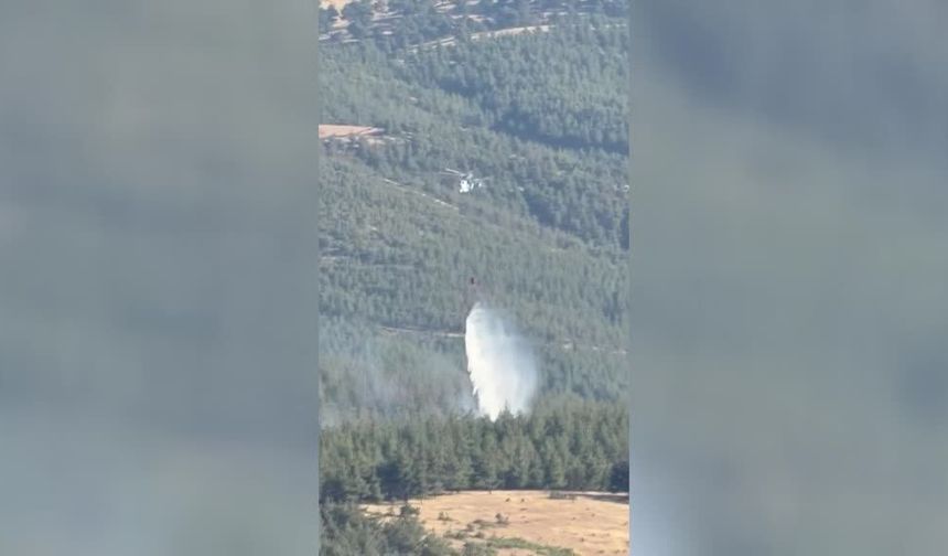 Gaziantep'te alevler ormanlık alanı sardı