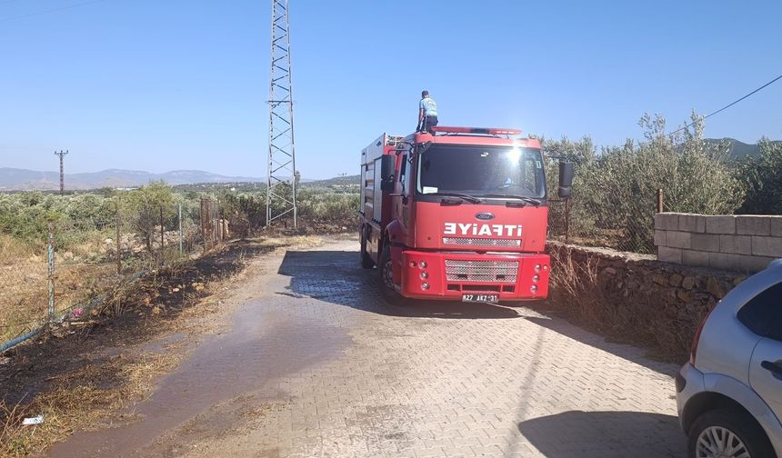 Gaziantep’te zeytinlik alanda yangın çıktı
