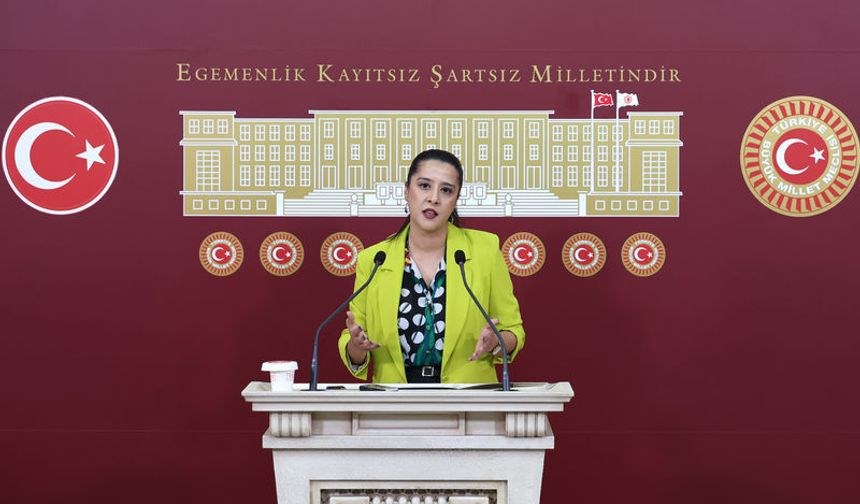 Karaca: “Siyasete yönelik tehditler kabul edilemez”