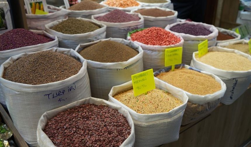 Yerli tohum üretiminde örnek hikâye