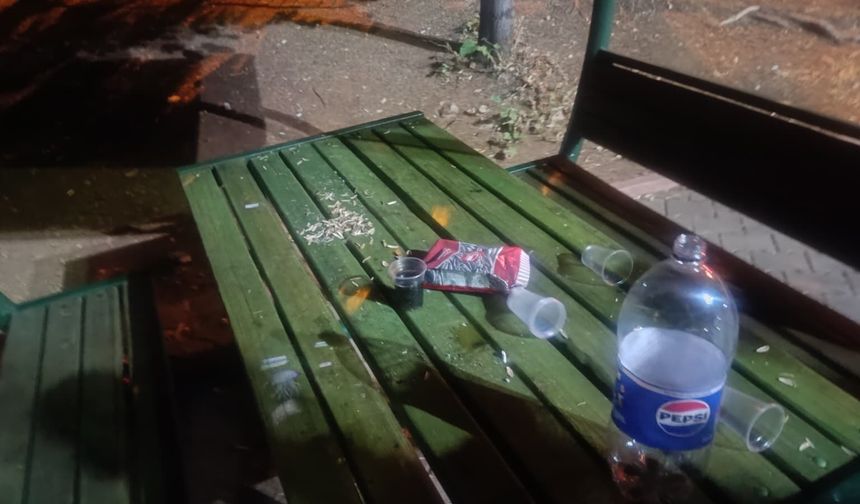 Gaziantep'te çevreyi kirletenlere ceza kesildi
