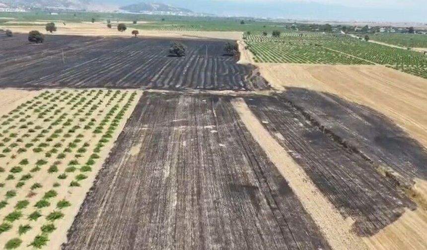 Gaziantep'te yangının tahribatı gün yüzü ile meydana çıktı