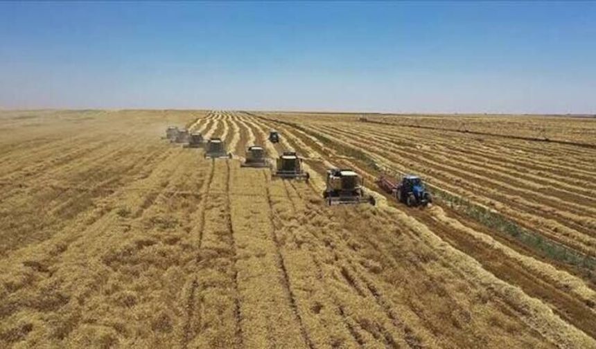Hububat ihracatı ilk yarıda 1,8 milyar dolara ulaştı