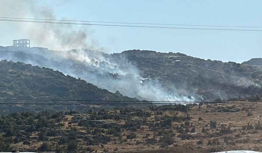 Gaziantep'te makilik alan alevlere teslim oldu