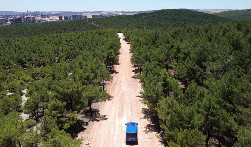 Gaziantep'te orman yangınlarına karşı dronlu sıkı denetim