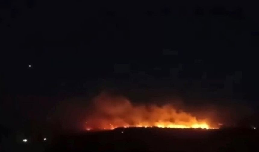 Gaziantep'te ormanlık alan alevlere teslim oldu