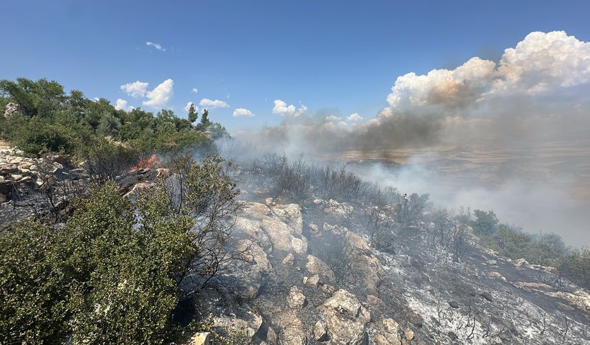 Gaziantep'te ormanlık alanda yangın çıktı