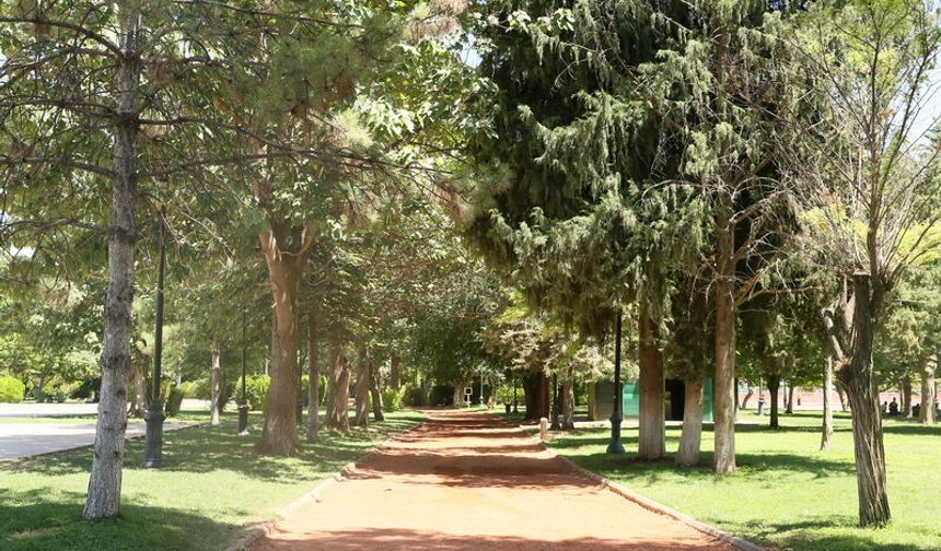 Gaziantep'te vatandaşlar sıcaktan gölgeye sığındı