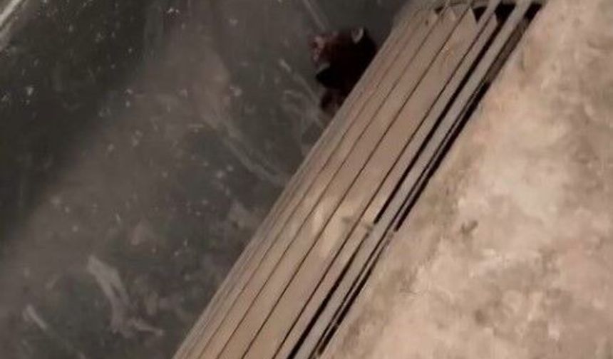 Gaziantep’te öğretmen ve personelden anlamlı davranış
