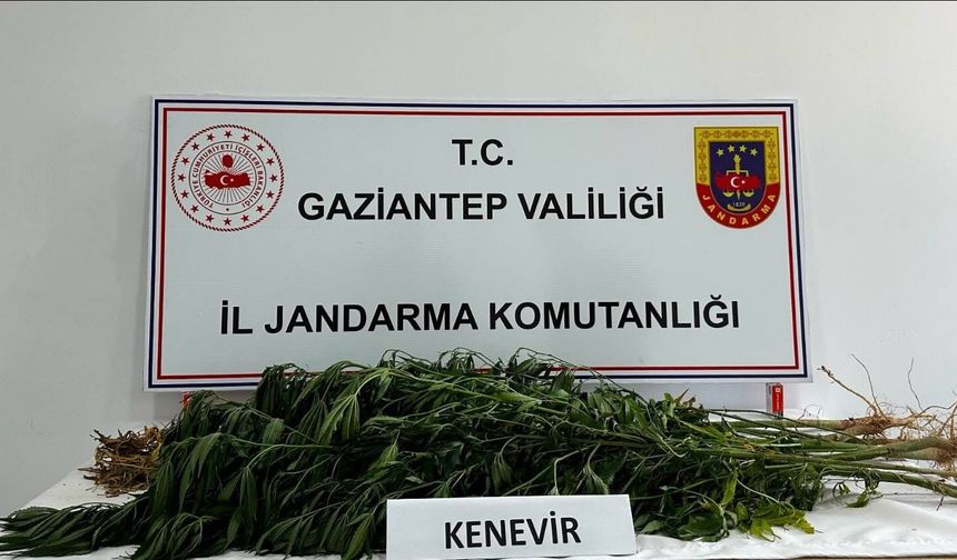 Gaziantep'te zehir tacirlerine ağır darbe