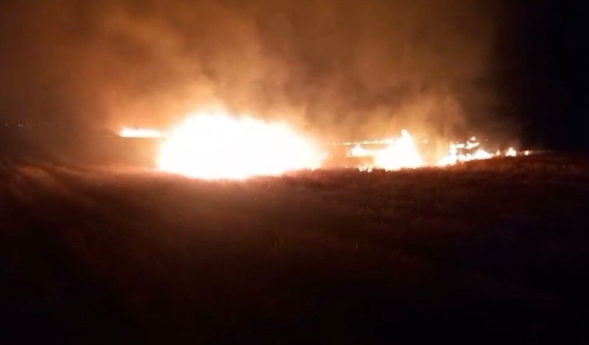 Gaziantep'te alevler hasat edilen araziyi sardı