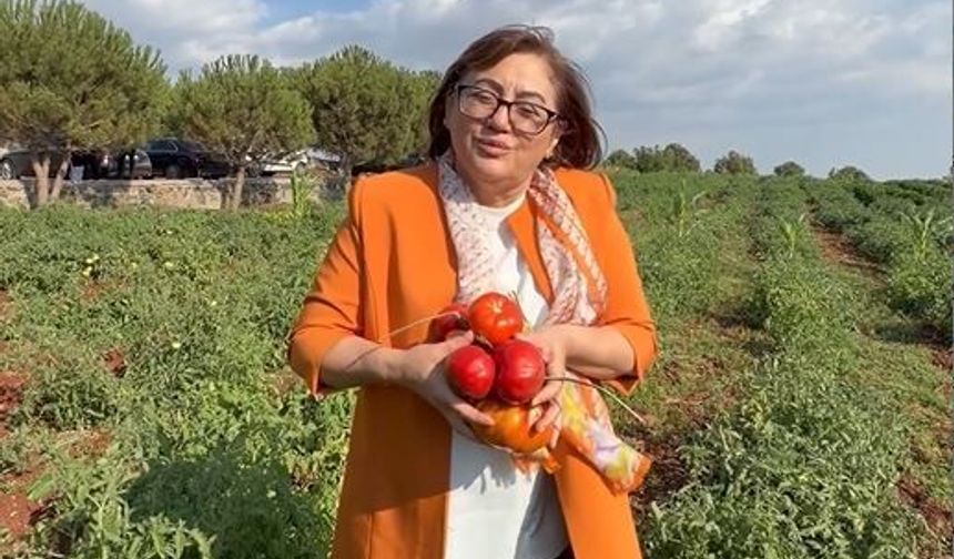 Gaziantep’te ata tohumu için düğmeye basıldı