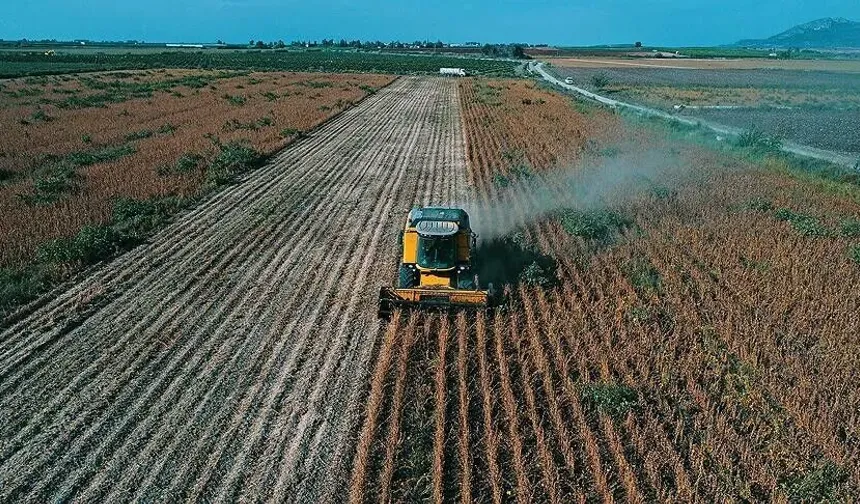 Çiftçinin tarlasındaki münavebe şartı kalktı