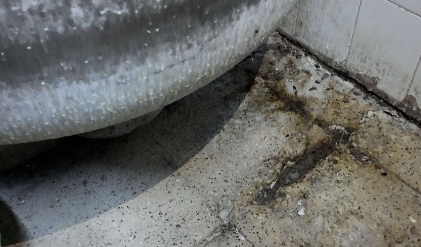 Gaziantep’te fırında ortaya çıkan görüntüler şoke etti
