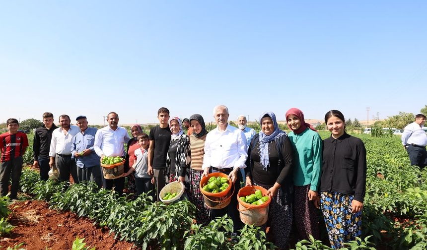 Gaziantep’te çiftçilere fide desteği