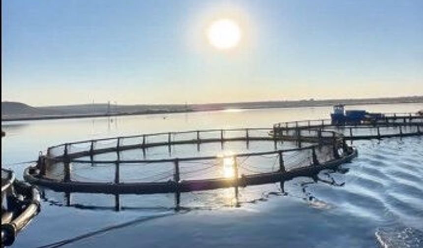 Karkamış’ın kuşları Ekopark ile dünyaya açılacak