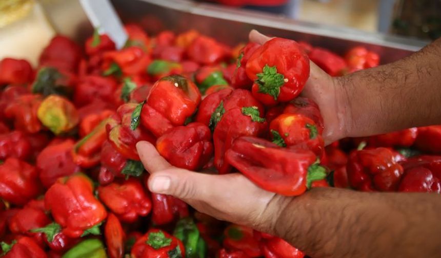 Gaziantep’te kışlık salça telaşı başladı