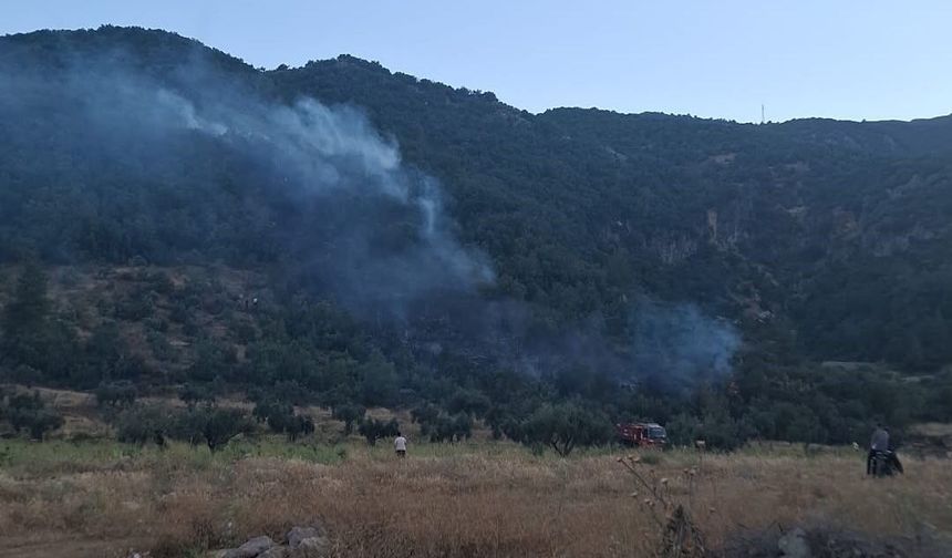 Gaziantep'te ormanlık alanda korkutan yangın