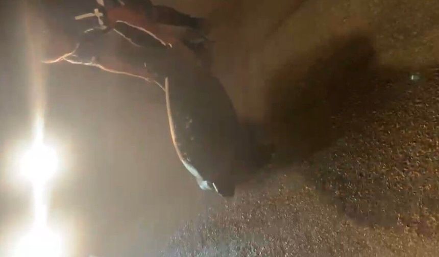 Sahil yolundan ayrılan caretta carrettayı denize taşıdı