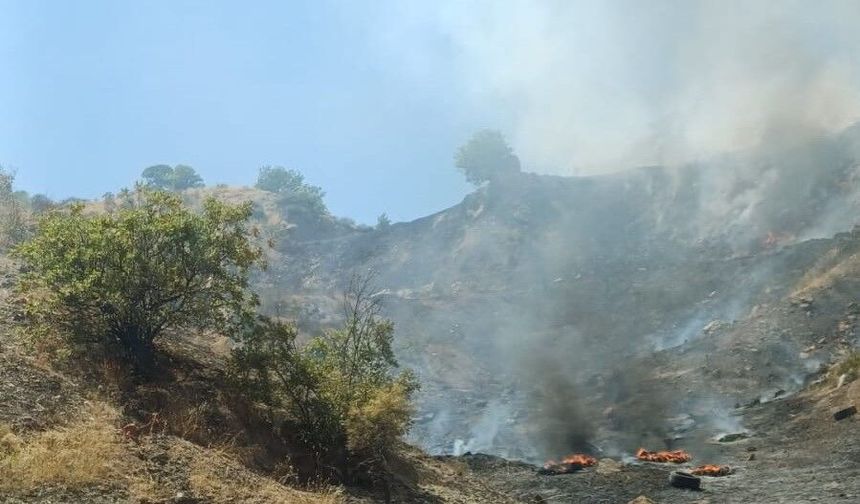 Şehir çöplüğünde çıkan yangın ormanlık alana sıçradı