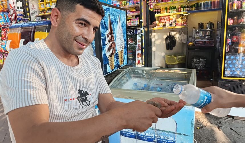 Sıcaktan bunalan küçük serçe kurtarıldı