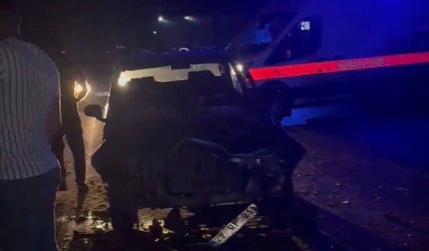 Gaziantep'te koyun sürüsüne dalan otomobil sürücüsü yaralandı