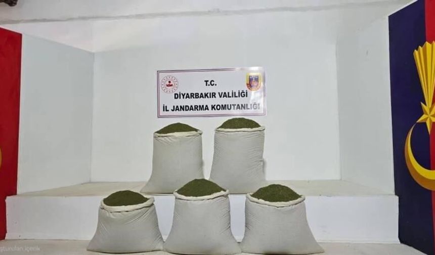 14 bin kök kenevir, 129 kilo yasaklı madde ele geçirildi