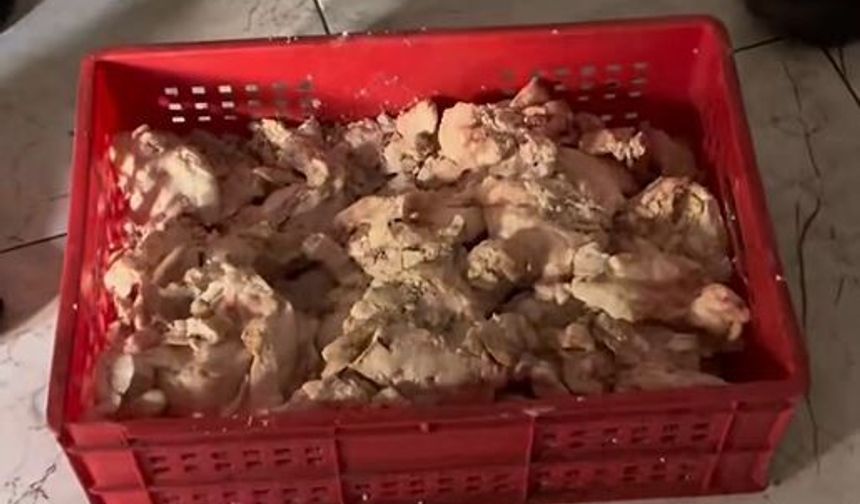 Gaziantep’te mide bulandıran görüntü! Zabıta ekipleri ortaya çıkardı
