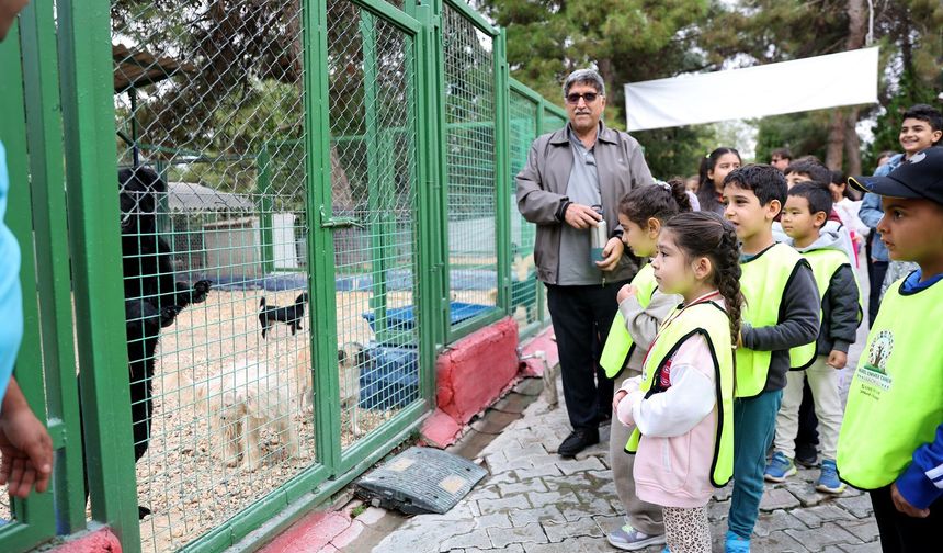 Gaziantep’te miniklerden sokak hayvanlarına anlamlı destek