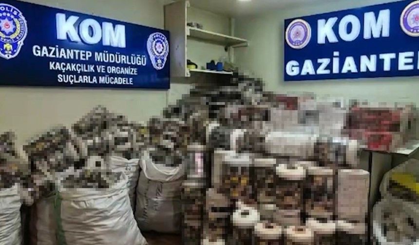 Gaziantep’te kaçak sigaralara geçit verilmedi