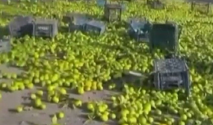 Gaziantep'te otoyola mandalinalar saçıldı
