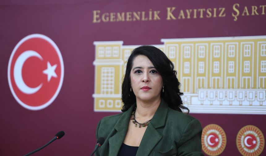 Sevda Karaca'dan ihaleleri için inceleme çağrısı