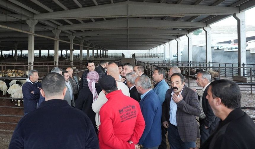 Umut Yılmaz duyurdu: Uygun fiyatlı et satış yeri belli oldu