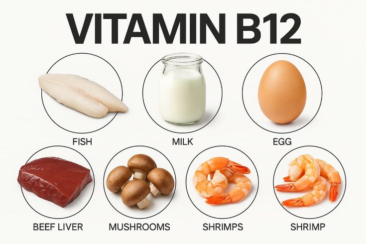 B12