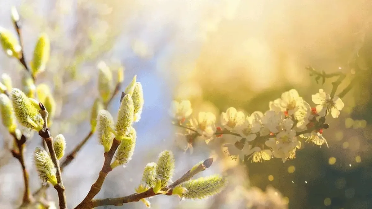 1200X675 Cemre Dusme Tarihleri Ilk Cemre Ne Zaman Dusecek Baharin Mujdecisi Bekleniyor 1769001166855