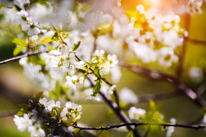 69661E68895406B5337A8D84