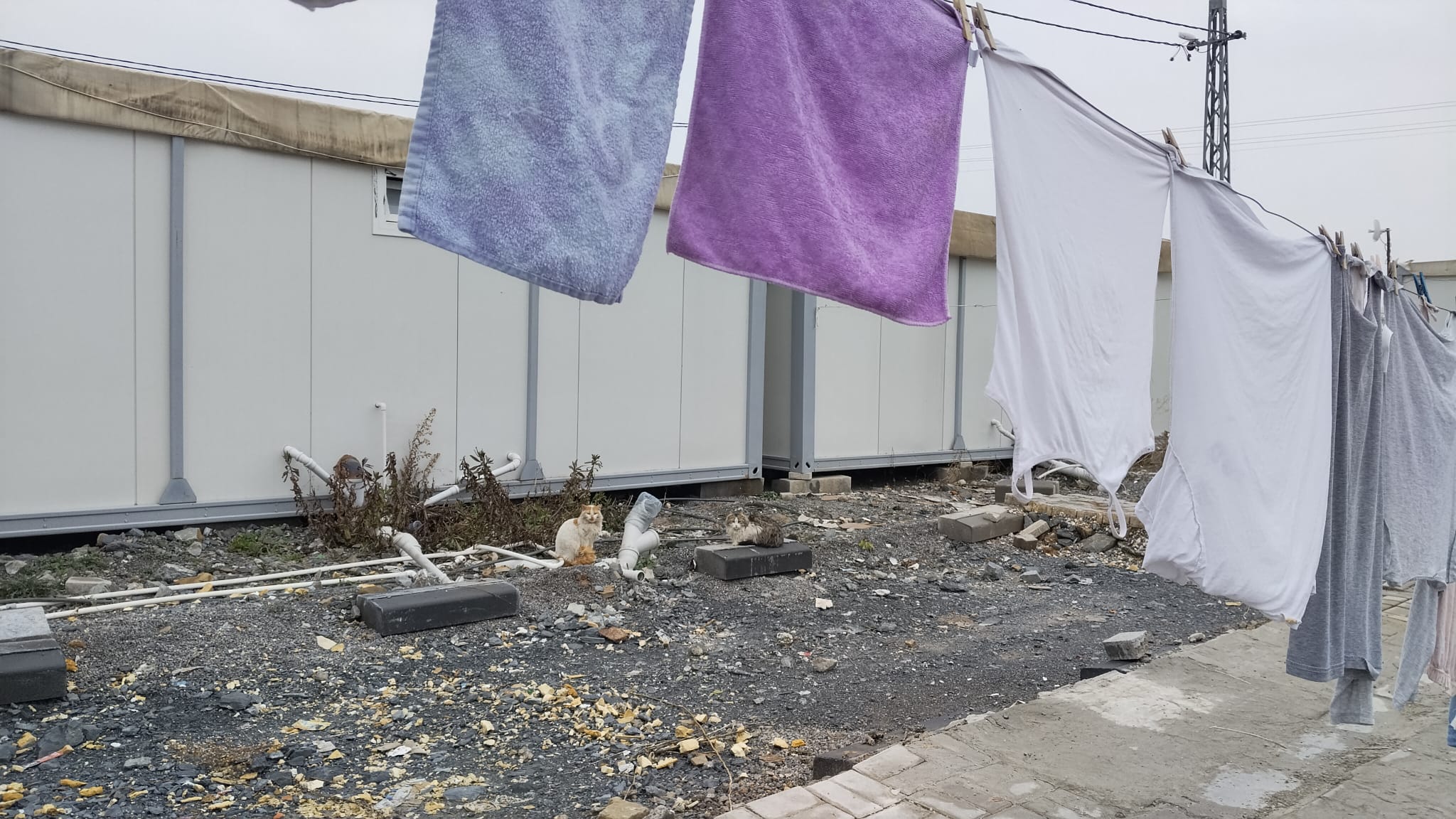 4Cda540D 7Db4 4A1B 98F6 4Eed7E88De0D