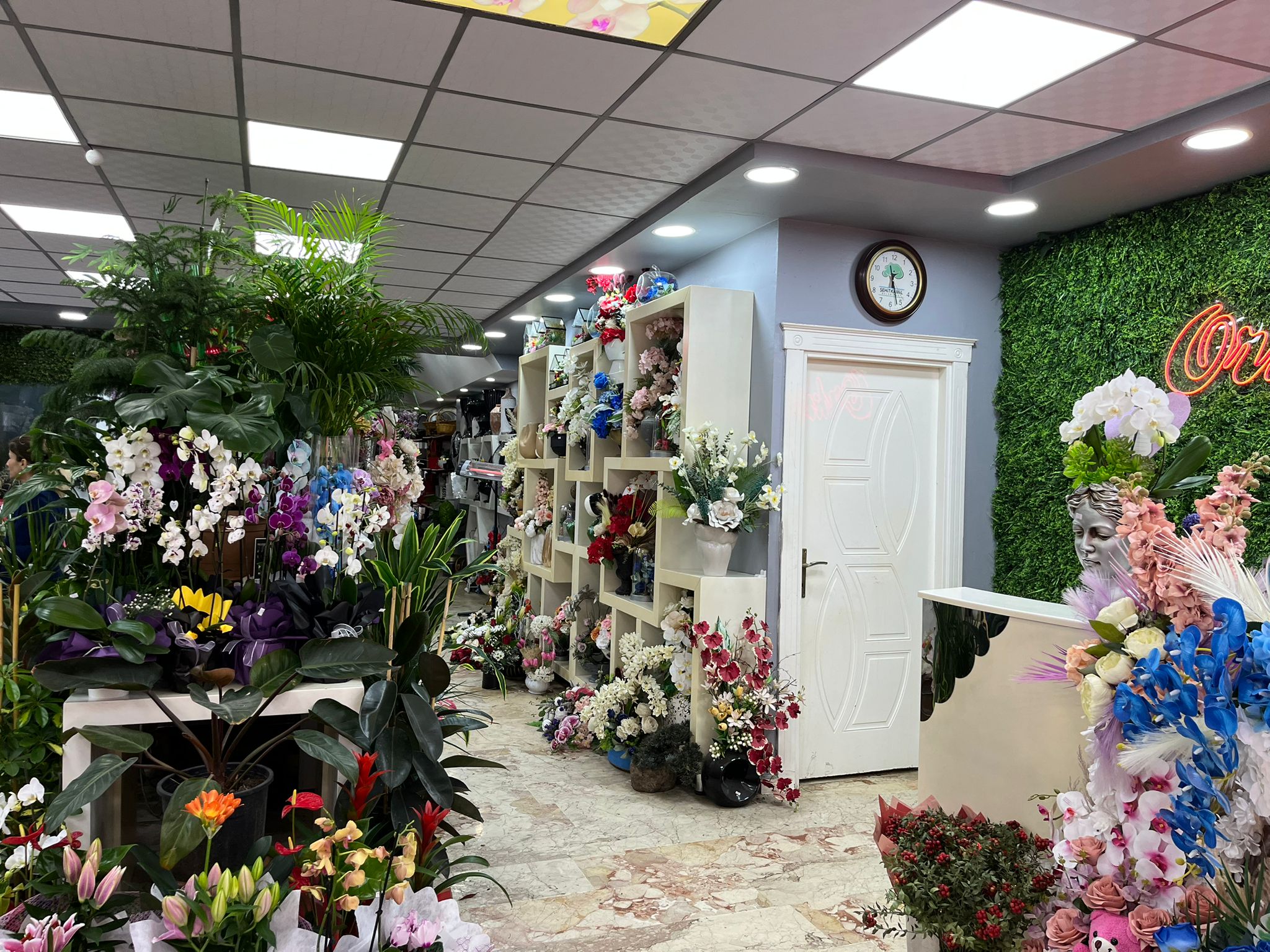 Whatsapp Image 2026 02 12 At 13.05.02