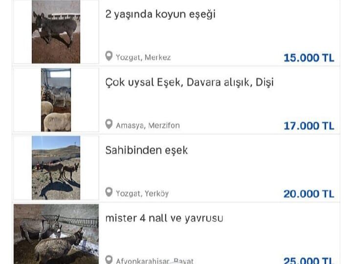 Whatsapp Image 2026 03 24 At 18.08.20 (1)