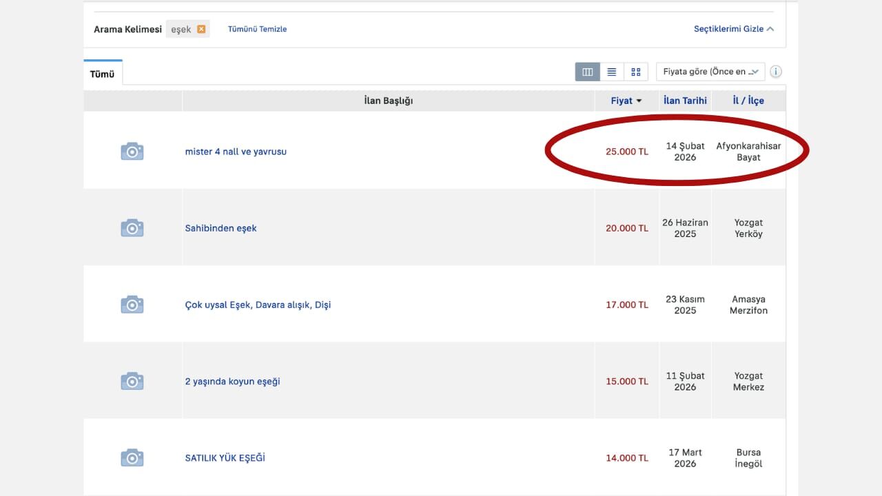 Whatsapp Image 2026 03 24 At 18.08.20 (5)