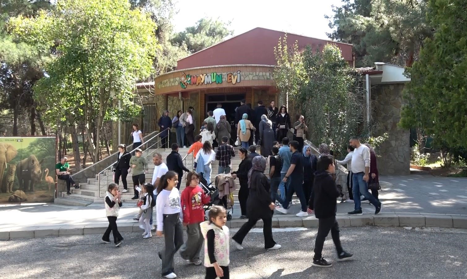 Hayvanat Bahcesi (2)